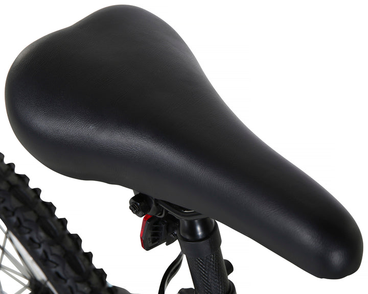 Kids 20 Inch Bikes